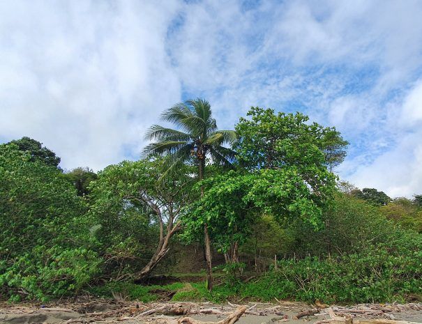 La Loma del Mango - Hotel - Palo Seco - Veraguas - Panama