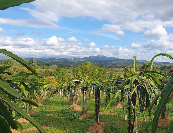 La Loma del Mango - Hotel - Palo Seco - Veraguas - Panama