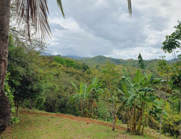 La Loma del Mango - Hotel - Palo Seco - Veraguas - Panama